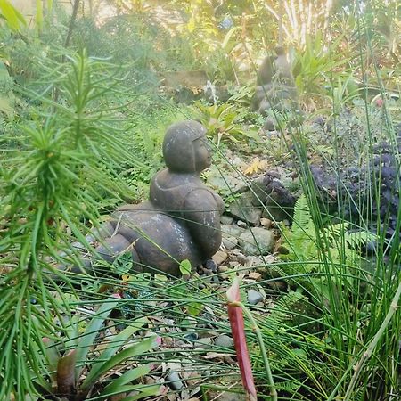 Karragarra Island Birdsong Retreat - On Lamb Island Bed & Breakfast エクステリア 写真