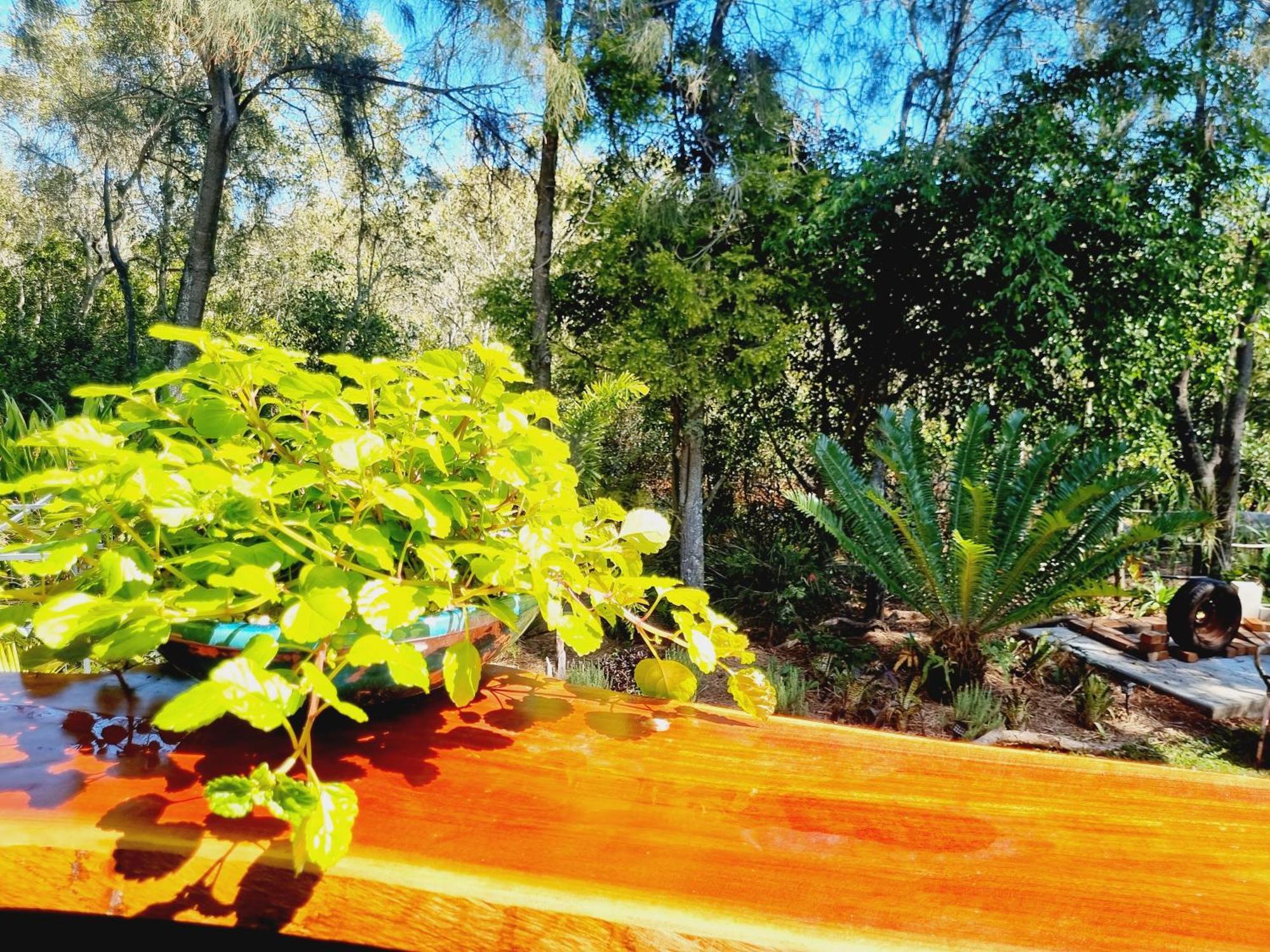 Karragarra Island Birdsong Retreat - On Lamb Island Bed & Breakfast エクステリア 写真